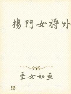 《杨门女将外传》小说封面