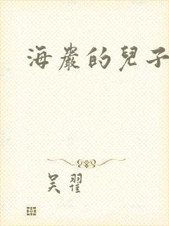 海岩的儿子