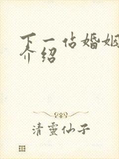 下一站婚姻剧情介绍