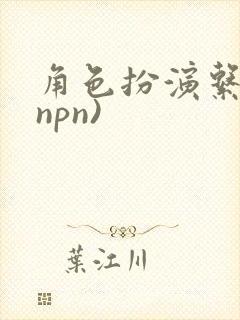 角色扮演系统(npn)