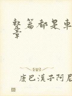 整篇都是车的文章