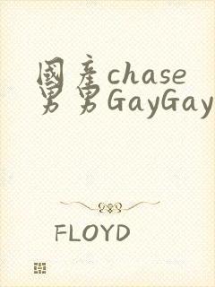 国产chase男男GayGay