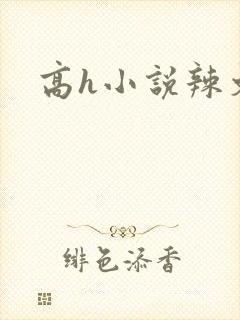 高h小说辣文