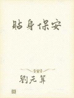 《贴身保安》小说封面