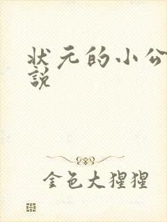 状元的小公主小说封面