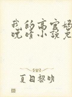 我的高官妈妈苏晚晴小说免费阅读