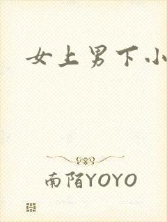 女上男下小说