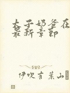 太子奶爸在花都最新章节