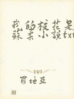 我的校花是福姬苏柔小说txt