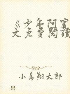 《少年阿宾》全文免费阅读