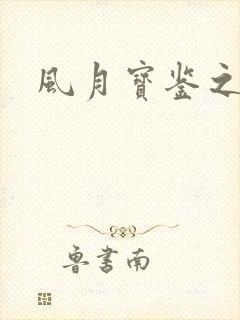 《风月宝鉴之》小说封面