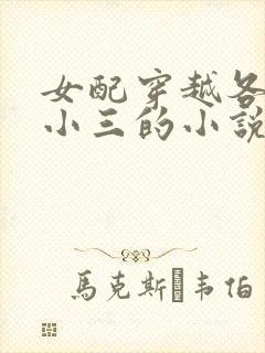 女配穿越各个做小三的小说