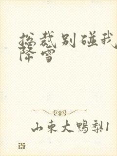 总裁别碰我 韩降雪封面