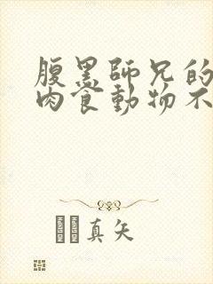 腹黑师兄的日常肉食动物不食草