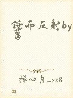 镜面反射by九葛封面