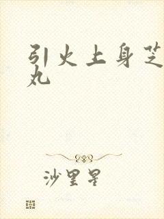 引火上身芝麻糖丸