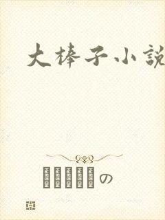 大棒子小说封面