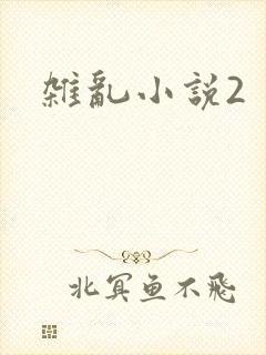 杂乱小说2