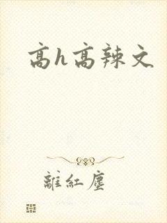 高h高辣文