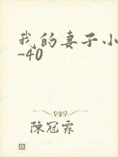 我的妻子小谨1-40