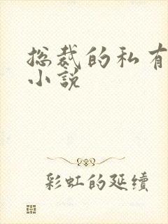 总裁的私有宝贝小说