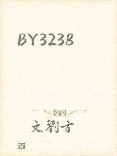 BY3238