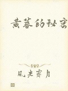 黄蓉的秘密