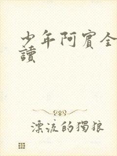 少年阿宾全集阅读