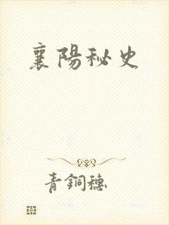 襄阳秘史