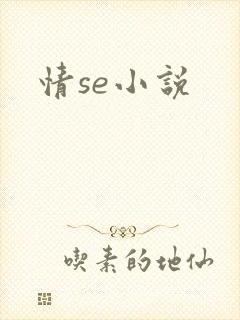 情se小说