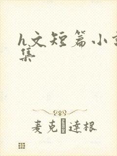 h文短篇小说合集