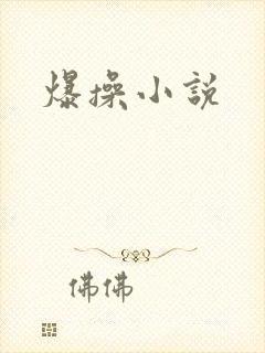 爆操小说