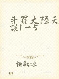 斗罗大陆天狂传说1一5