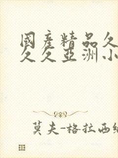 国产精品久久久久久亚洲小说