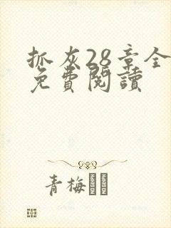 抓灰28章全部免费阅读