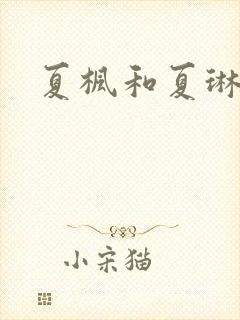 夏枫和夏琳