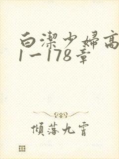 白洁少妇高义第1一178章