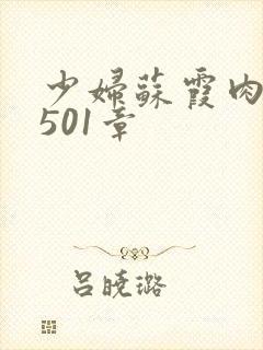 少妇苏霞肉欲第501章