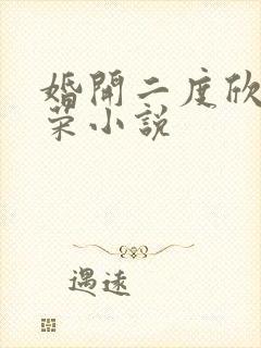 婚开二度欣欣向荣小说