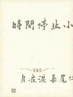 时间停止小说