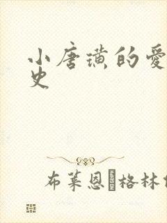 小唐璜的爱情历史