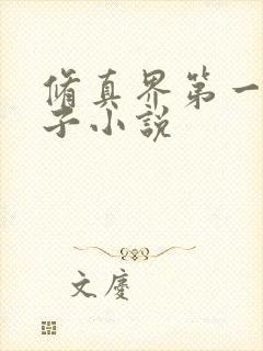 修真界第一病秧子小说封面