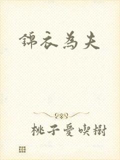 锦衣为夫