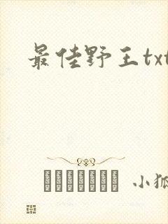 最佳野王txt