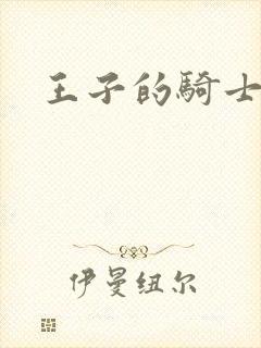 王子的骑士小说