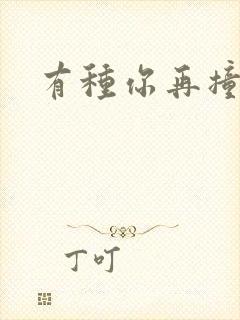 有种你再撞一下