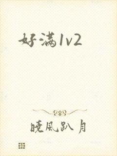 好满1v2