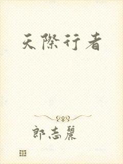 《天际行者》小说封面