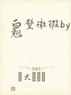 白璧微瑕by连翘