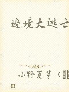 边境大逃亡